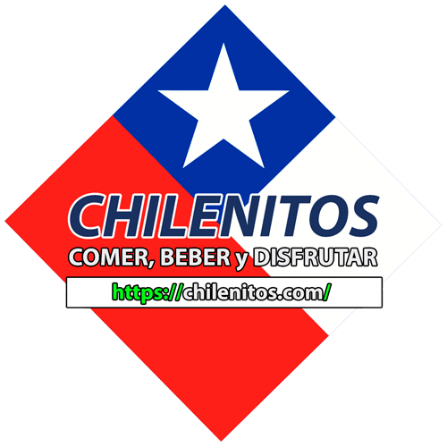 prevencion-y-seguridad.ves.cl - chilenos - chilenitos